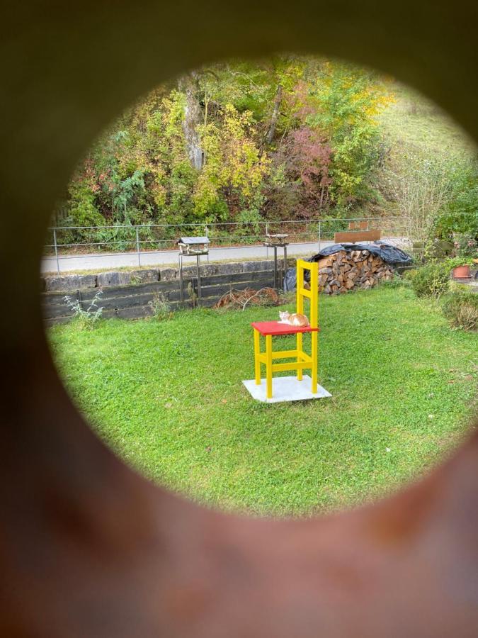 Gasthof Zur Saegemuehle Hiltpoltstein Εξωτερικό φωτογραφία