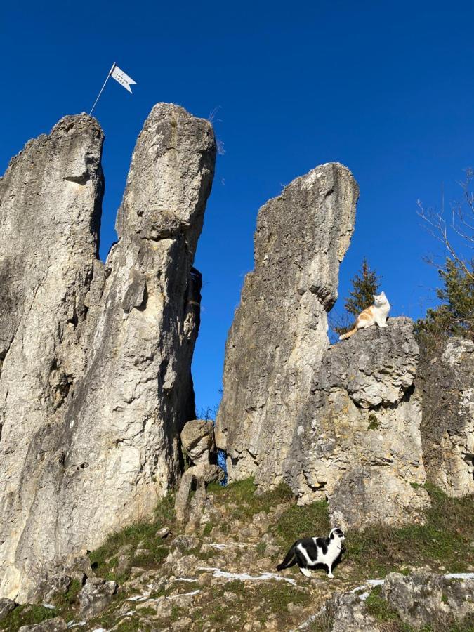 Gasthof Zur Saegemuehle Hiltpoltstein Εξωτερικό φωτογραφία