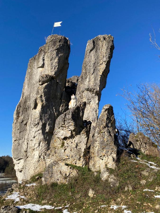 Gasthof Zur Saegemuehle Hiltpoltstein Εξωτερικό φωτογραφία