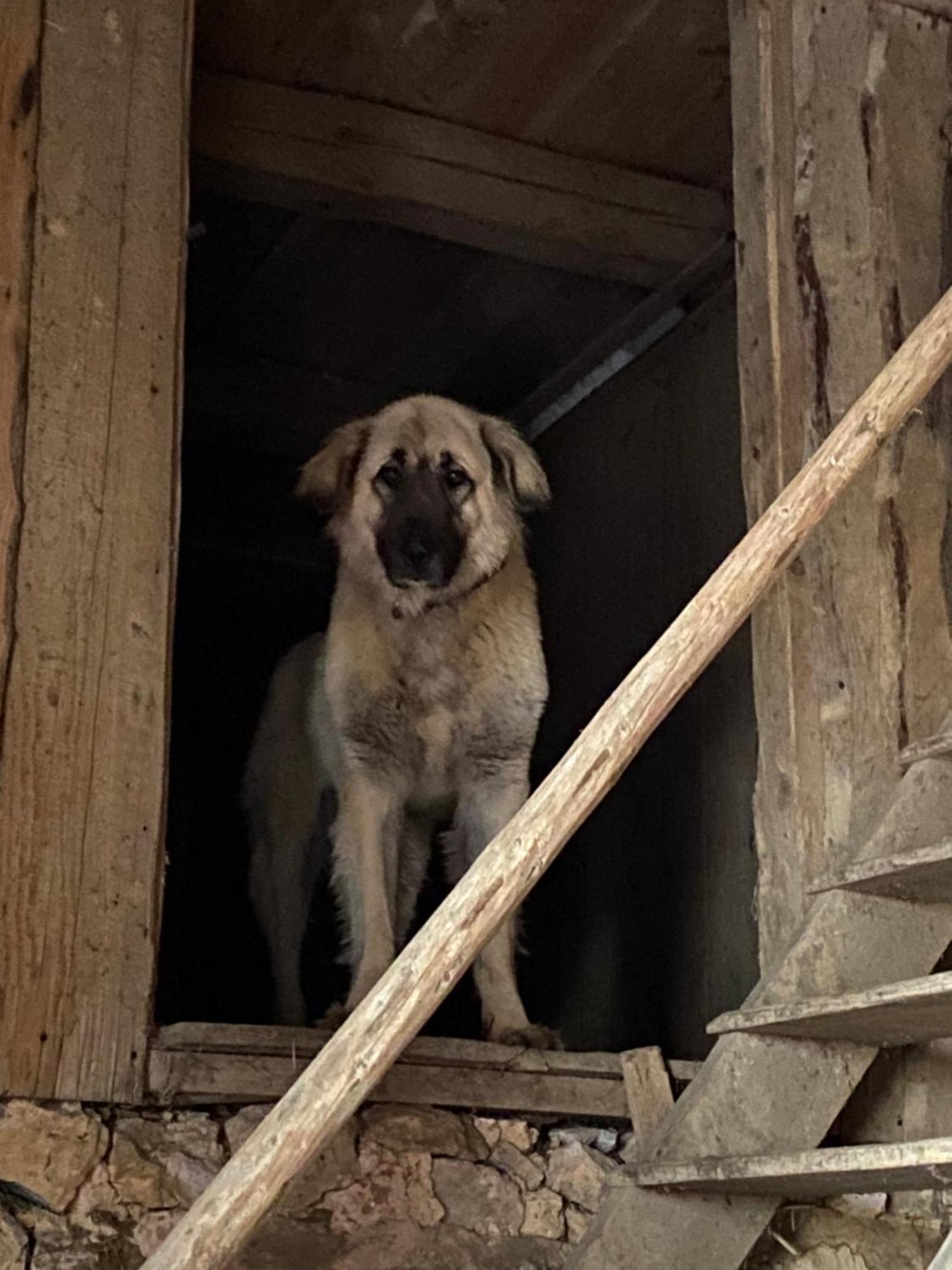 Gasthof Zur Saegemuehle Hiltpoltstein Εξωτερικό φωτογραφία